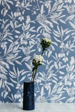 Aceituna Bahía - Coordonné