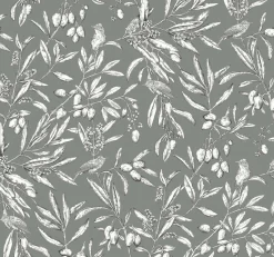 Aceituna Celadón - Coordonné