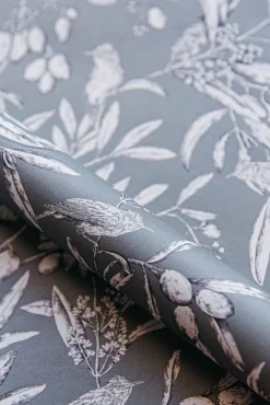 Aceituna Celadón - Coordonné