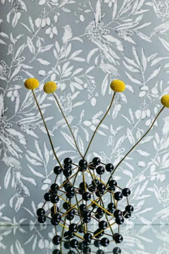 Aceituna Celadón - Coordonné