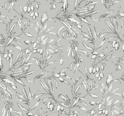 Aceituna Plata - Coordonné