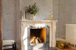 Aceituna Plata - Coordonné