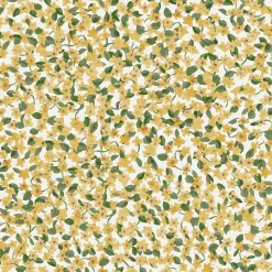 Ana Cúrcuma - Coordonné