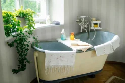 Antonio Cisne - Coordonné