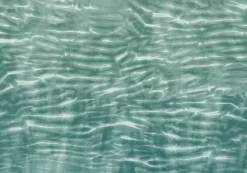 Arashi Nori - Coordonné