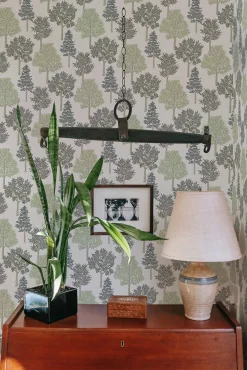 Arboleda Silvestre/Verde claro - Coordonné