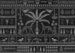 Asni Valley Night - Coordonné