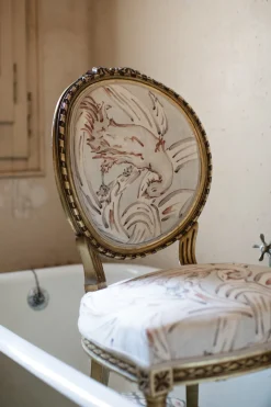 Aves Siena - Coordonné