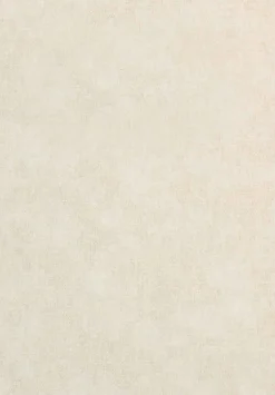 Berthe Beige - Coordonné