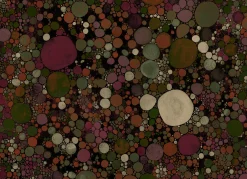 Big Bang Coal - Coordonné