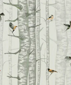 Birch Trees Silvester - Coordonné