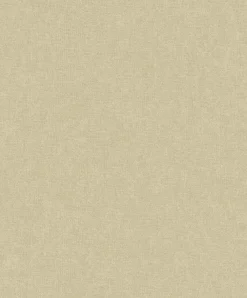 Blended Light Camel - Coordonné