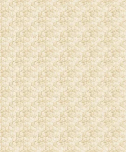 Campanet Toasted - Coordonné