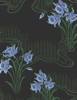 Candela Azabache - Coordonné