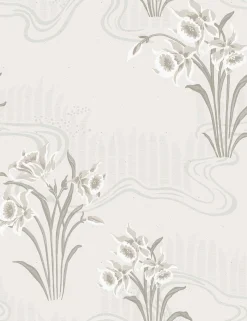 Candela Cisne - Coordonné