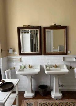 Cardamomo - Coordonné