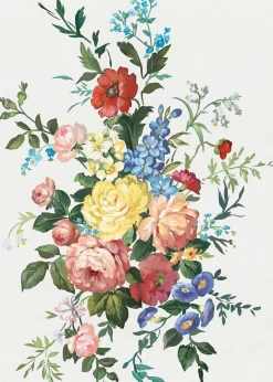 Carmen Cisne - Coordonné