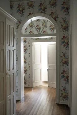 Carmen Cisne - Coordonné