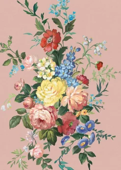 Carmen Rosáceo - Coordonné