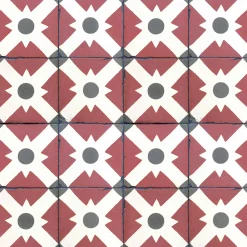 Celosia Clay - Coordonné