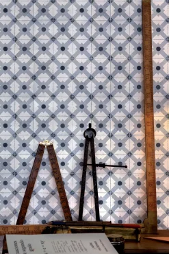 Celosia Grey - Coordonné