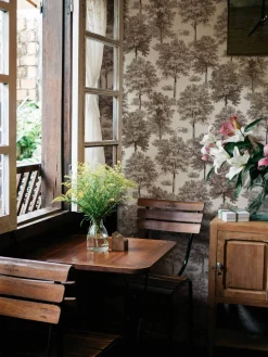 Chestnut tree Clay - Coordonné