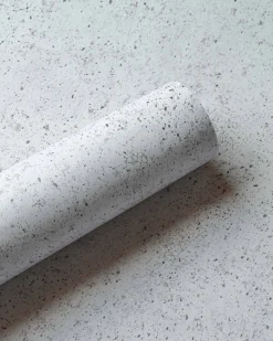 Ciment Glacier - Coordonné