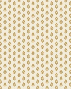 Clover Curry - Coordonné