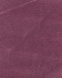 6709608 - Coordonné