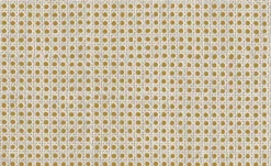 9800006 - Coordonné