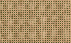 9800007 - Coordonné