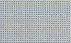 9800008 - Coordonné