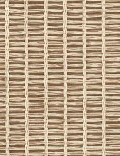 9800018 - Coordonné