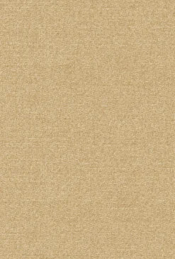 9800025 - Coordonné