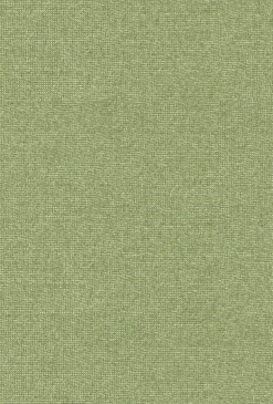 9800033 - Coordonné