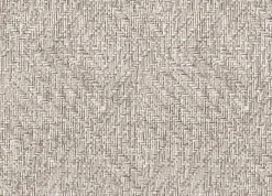 9800078 - Coordonné