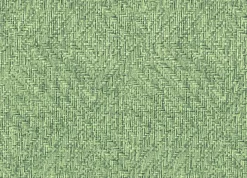 9800081 - Coordonné