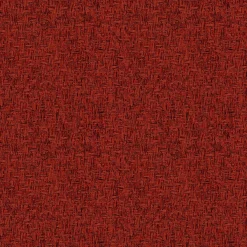 9100009 - Coordonné