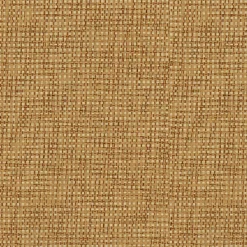 9100010 - Coordonné