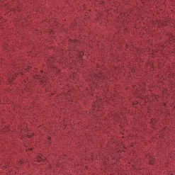 9100213 - Coordonné