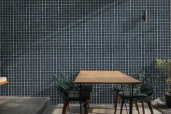 9800014 - Coordonné