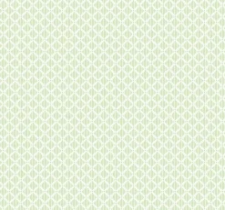 Corset Mint - Coordonné