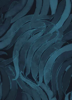 Crop Fossils Sapphire - Coordonné