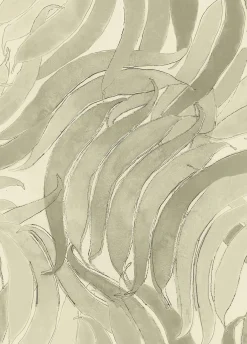 Crop Fossils Silvester - Coordonné