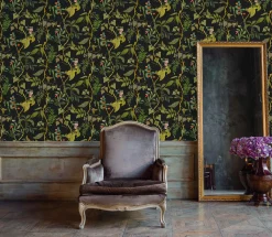 Diderot Eclipse - Coordonné