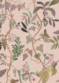 Diderot Nude - Coordonné