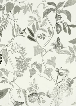 Diderot Sketch - Coordonné