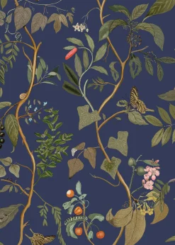 Diderot Topaz - Coordonné