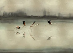 Doñana Gold - Coordonné