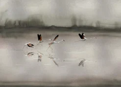 Doñana Silver - Coordonné